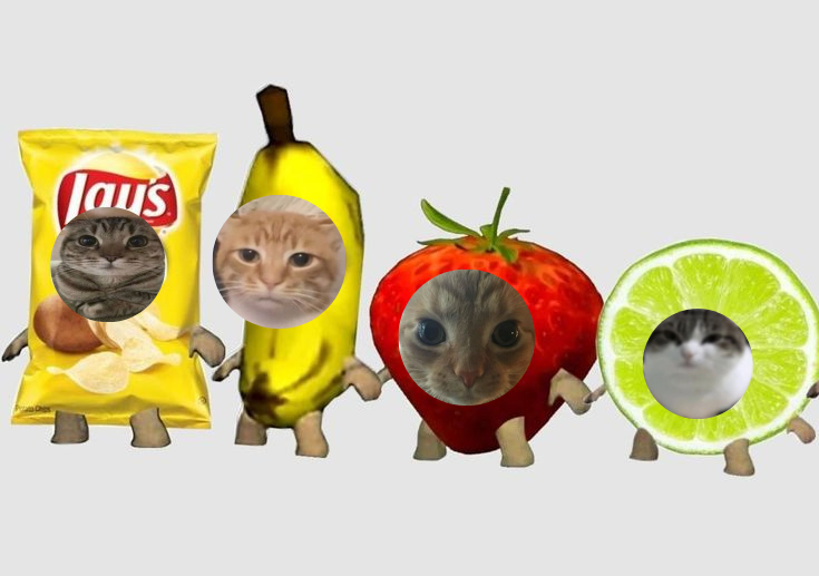 The Web Development Team
